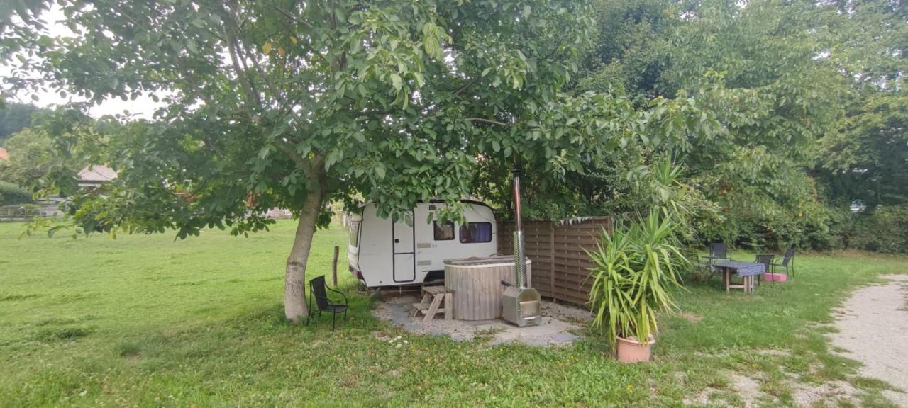 Uelis-stoeckli-gaestezimmer Auf Bauernhof Mit Billiard Und Alpakatrekking *