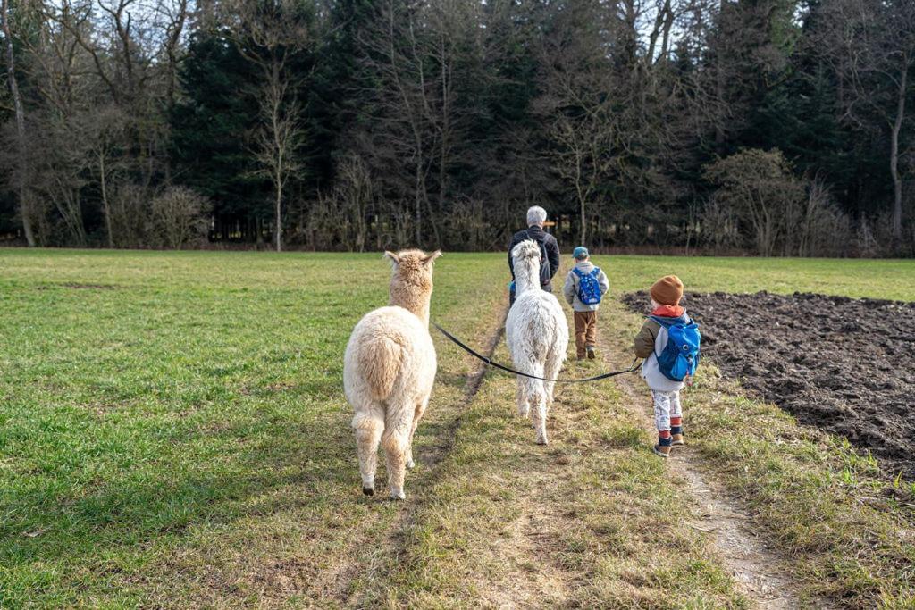 Farm stay Uelis-stoeckli-gaestezimmer Auf Bauernhof Mit Billiard Und Alpakatrekking Meikirch